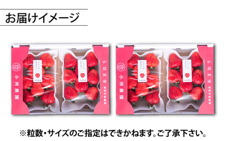 【2025年2月中旬以降順次発送】 農家直送！ 糸島産 完熟あまおう 280g×4パック (S-Gサイズ) 糸島市 / 小河農園 フルーツ いちご 苺 [AJN004]