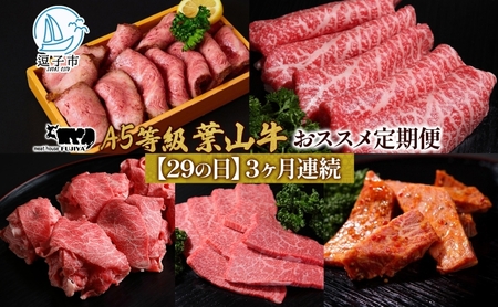 葉山牛黒毛和牛カルビ切り落し霜降り冨士屋牛肉店葉山牛【定期便】