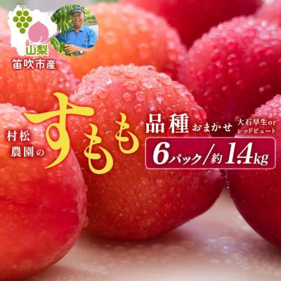 ふるさと納税 笛吹市 【2026年先行予約】すもも 品種おまかせ 6パック 約1.4kg 産地直送 村松農園 笛吹市