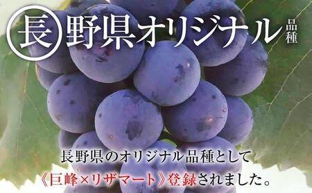 【先行予約】2025　ナガノパープル【訳あり粒抜け等】　房複数　約1キロ　長野県産  【9月下旬頃～順次発送予定】国際特許有機肥料栽培