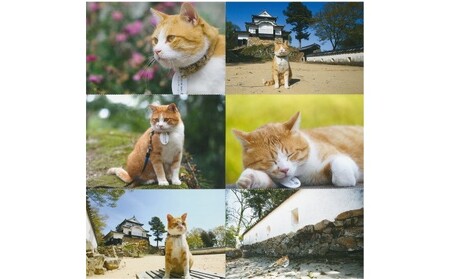 さんじゅーろーグッズセット