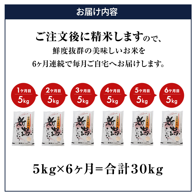 【ふるさと納税】米 ６ヶ月定期便 令和５年産 新潟 コシヒカリ ５kg 白米 精米 精米仕立てを発送致します