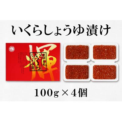 ふるさと納税 鹿部町 丸鮮道場水産 前浜たらこといくらしょうゆ漬け詰合せ(L)(計1kg) MC028-7 |  | 02