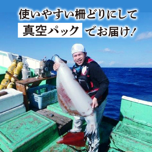 沖永良部島 イカ の 王様 ！ ソデイカ 2kg C010-025 魚介類 冷凍 烏賊
