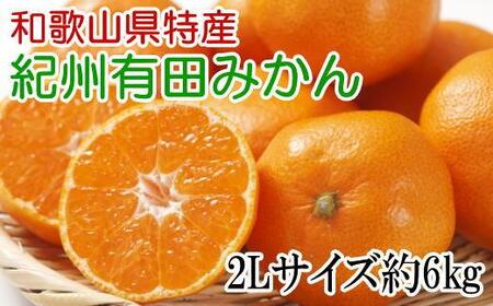 [秀品]和歌山有田みかん約6kg(2Lサイズ)★2024年11月中旬頃より順次発送【TM84】