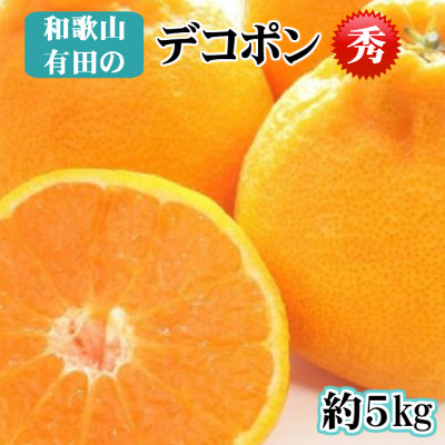 【秀品】和歌山有田のデコポン!約5kg　ギフトにも!【1139213】