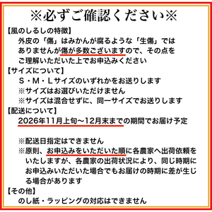 有田みかん「風のしるし」（約10kg）(B241-2)