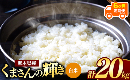 【定期便6回】令和7年産 新米 熊本県産 くまさんの輝き 白米 20kg | 小分け 5kg × 4袋 こめ 米 白米 ごはん 銘柄米 ブレンド米 単一米 人気 日本遺産 菊池川流域 こめ作り ごはん ふるさと納税 返礼品