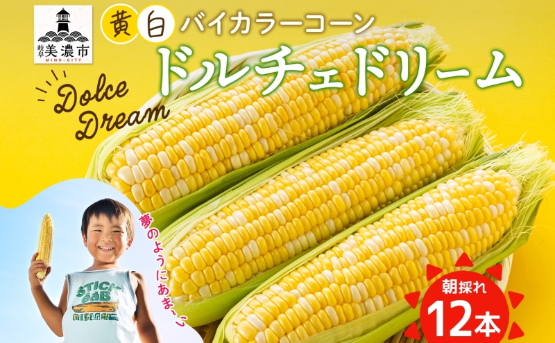とうもろこし ドルチェドリーム 300g以上×12本 約3.6kg コーン もろこし バイカラー 白 黄 低農薬 高糖度 18度 甘い ジューシー 野菜 おやつ 旬 産地直送 送料無料 美濃グリーン 岐阜県 美濃市
