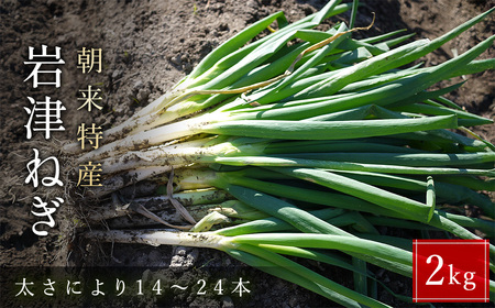 朝来市特産 岩津ねぎ 2kg (太さにより14～24本) MLサイズ混載 AS51AB57-2