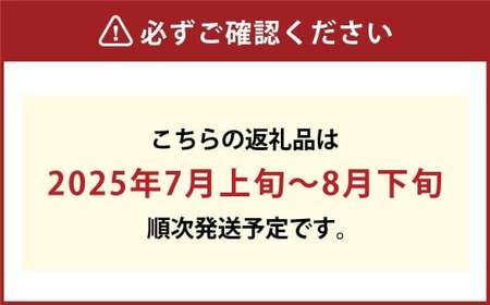 ぶどう 2024年 先行予約 桃太郎 ぶどう 2房（1房 480g以上 加温栽培）贈答用 ブドウ 葡萄  岡山県産 国産 フルーツ 果物 ギフト