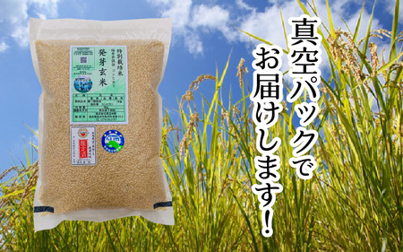 【令和7年産】発芽玄米 コシヒカリ「特選」特別栽培米使用 3kg×2袋（計6kg）【米 こしひかり 玄米 ギャバ GABA 無農薬 特別栽培 食物繊維 栄養 真空パック ごはん ご飯 おいしい ふるさ