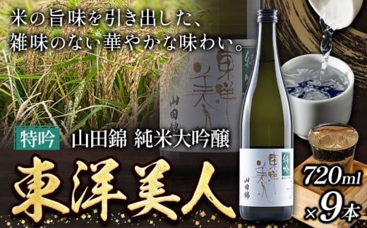 日本酒 新酒 東洋美人 特吟 山田錦 純米大吟醸 9本 計6480ml 1本あたり 720ml 福岡吟醸倶楽部株式会社《90日以内に発送予定(土日祝除く)》福岡県 鞍手郡 鞍手町 酒 熱燗 送料無料