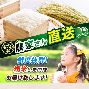 【定期便6回】とちぎの星 5kg×4 (20kg) 