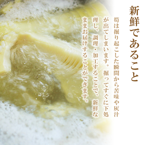 無添加高品質 タケノコ 1.2kg たけのこ | 選べる 容量 800g 1.2kg