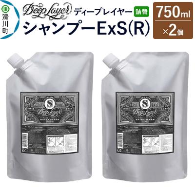 ふるさと納税 滑川町 ディープレイヤー シャンプー ExS 詰替 750mL×2個|19_sss-260201