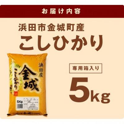 ふるさと納税 浜田市 【令和7年産】《10月より順次発送》浜田市金城町産こしひかり　5kg |  | 01