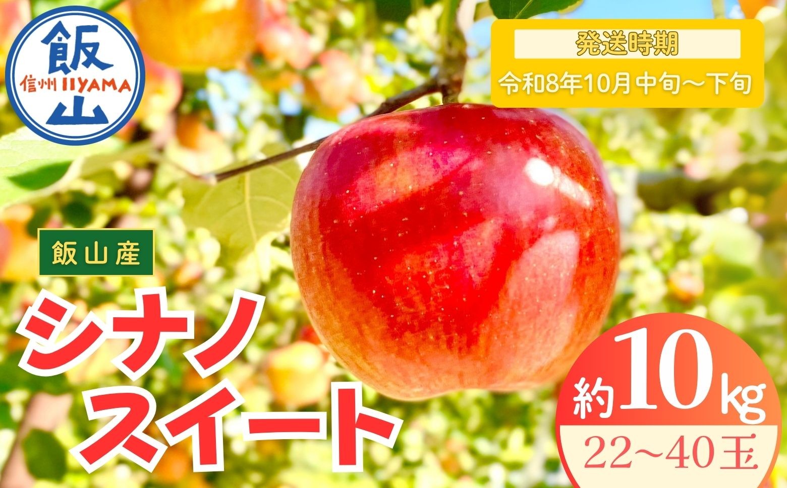 
                  【先行予約丨2026年10月中旬より順次発送】シナノスイート【約10kg (22〜40玉)】(At-013)丨長野県 飯山市 おすすめ ランキング おいしい 高評価 大人気 先取り 産地直送 りんご
                