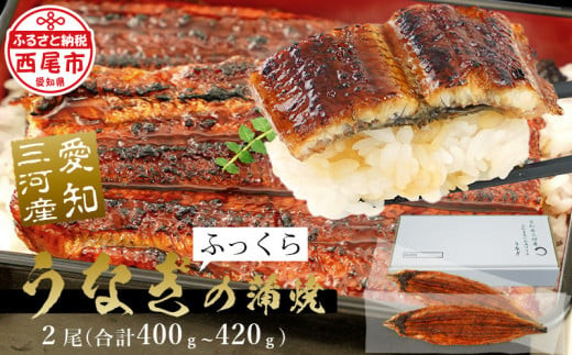 【期間限定】三河産　超特大うなぎ「蒲焼冷凍×2尾」・A090-17