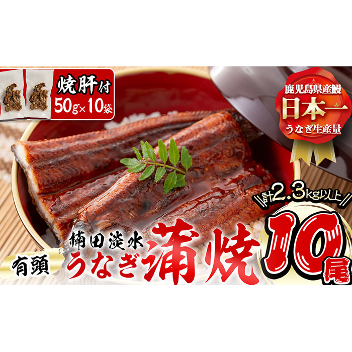 楠田の極うなぎ蒲焼き 230g以上×10尾(計2.3kg以上) 焼肝10袋付き wa24-004