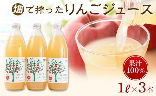 
            りんご ジュース 3本 × 各1000ml 大町産 箱入り｜ 林檎 リンゴ ストレートジュース 果汁100％ 無添加 大容量 ギフト 贈答用 人気 おすすめ フルーツジュース 果物 飲料 朝食用  国産 送料無料 長野県 大町市 信州 ふるさと納税
          