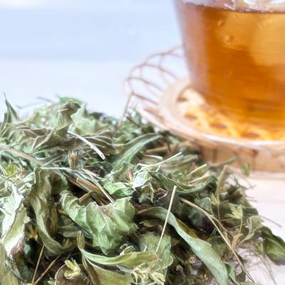 ふるさと納税 尾張旭市 ステビア乾燥茶葉(50g) |  | 02