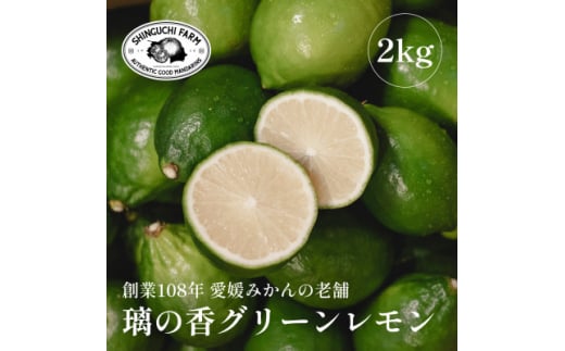 ＜皮が薄くて種が少ない＞璃の香グリーンレモン 2kg 愛媛県産＜B70-67＞【1615798】