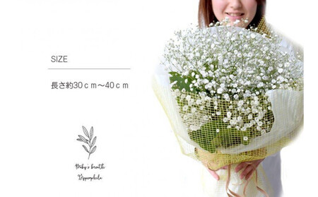 かすみそうの花束 かすみ草 カスミソウ 花束(小さいサイズ) 【 カスミソウ ブーケ 花 花束 花ギフト 】