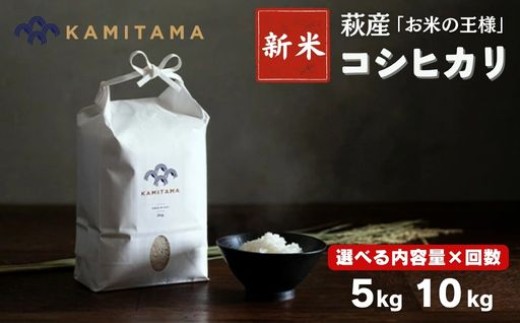 
                  【選べる！】コシヒカリ 令和8年 5kg～10kg 新米 米 コメ こめ 萩産 KAMITAMA
                