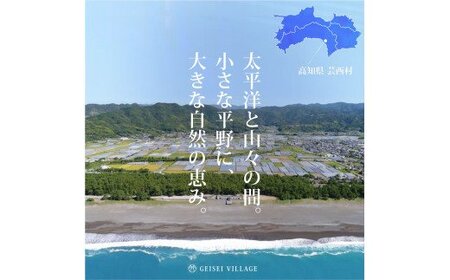 芸西米（げいせいまい）"コシヒカリ" 5kg 令和5年 高知の温暖な気候で育った芸西米 ※お申込み後に精米したての コメ を出荷いたします。令和5産 米 こしひかり 新米 白米 お米 美味しい もっち