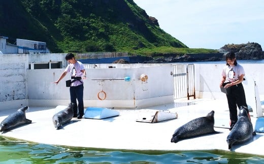 おたる水族館 飼育員体験 オリジナルポスター付 体験 体験型 飼育員 トレーナー 水族館 北海道 小樽市