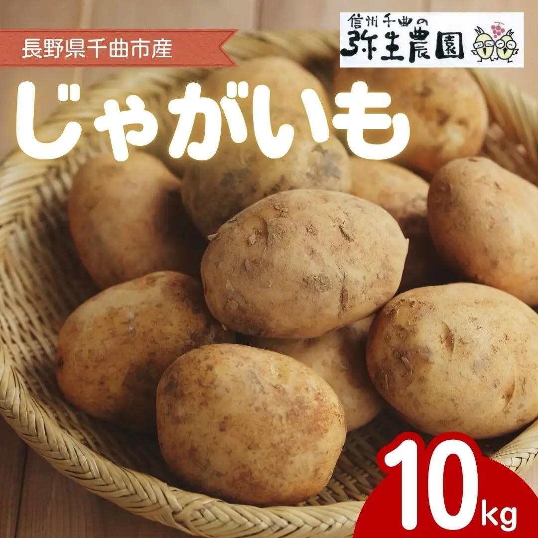 千曲市産 じゃがいも 10kg | じゃがいも