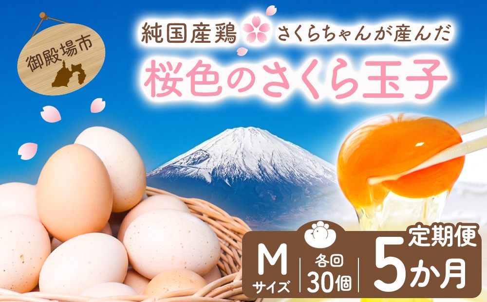 【定期便5ヵ月】純国産鶏さくらちゃんが産んだ桜色のさくら玉子 五分咲き（Mサイズ）30個 ｜ 卵 鶏卵 たまご タマゴ 生卵 たまごかけご飯 濃厚 甘み 国産