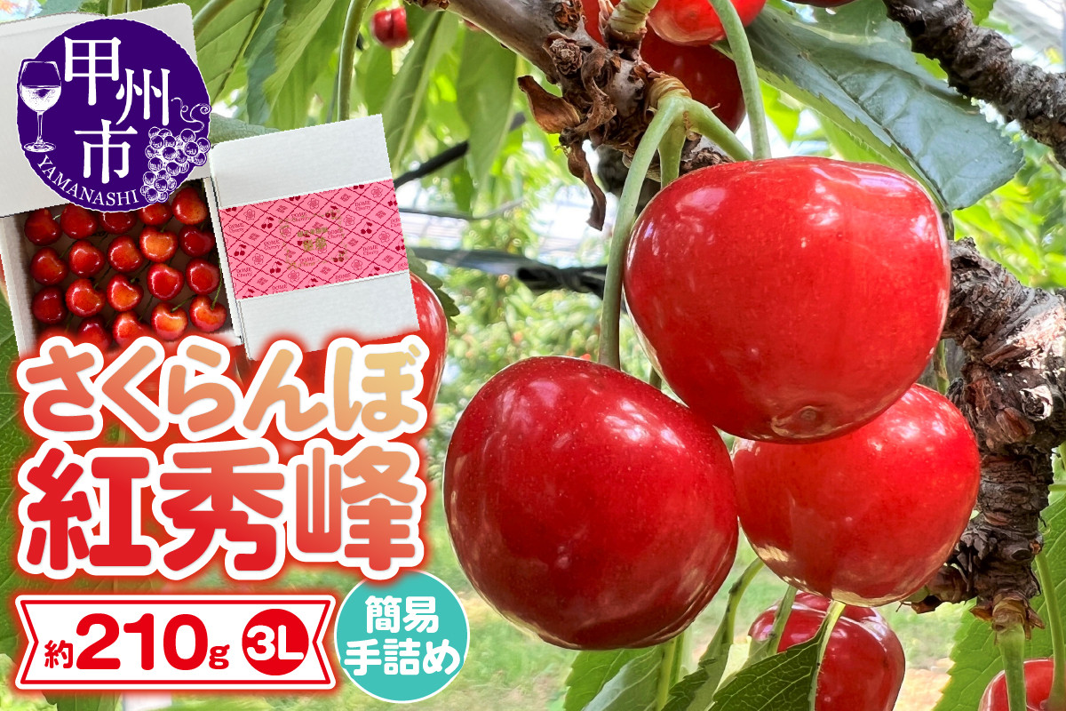 
甲州市さくらんぼ童夢の「紅秀峰」簡易手詰め（約210g3Lサイズ）【2024年発送】（DOM）B-157
