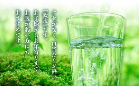 定期便 6回 お届け 世界遺産 飛騨 白川郷の水 500ml 24本 ペットボトル水 防災 アウトドア 料理 食品 ウォーター 水 軟水 岐阜 白川村 60000円 [S796]