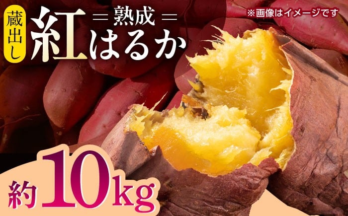 
                  蔵出し 熟成 紅はるか さつまいも 約10kg サイズバラバラ サツマイモ 密 芋 【合同会社 福福堂】いも 熟成 特産品 熊本県 九州 [ZCN019]
                