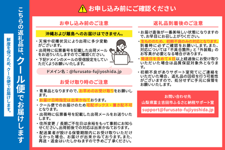 【 2024年 先行予約 】山梨 の 朝どれ 桃 2Kg　大玉5玉～7玉 山梨桃 桃 大玉桃