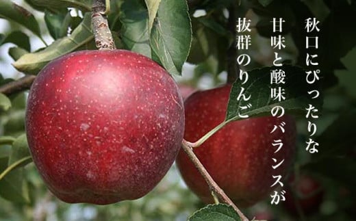 甘味と酸味のバランスが良く濃厚な味わいは、たまった夏の疲れを癒やしてくれます。
