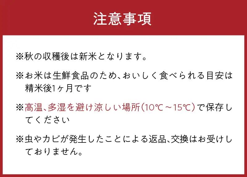 【令和8年】コシヒカリ 玄米 10kg コシヒカリ 京丹後市
