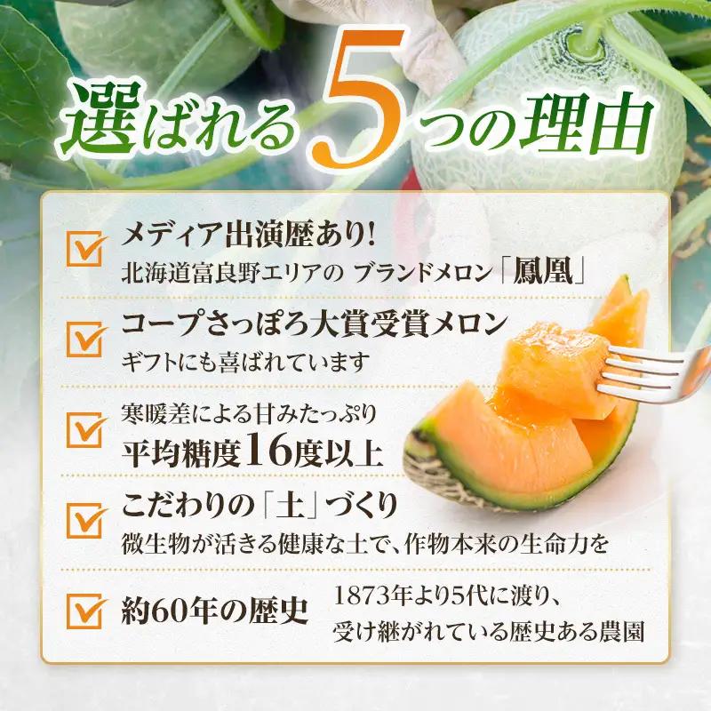 【2027年発送】富良野メロン 山部の絶品『鳳凰』2L 2玉 計約3.6kg以上