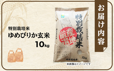 令和7年産!ファーム坂口の特別栽培米 ゆめぴりか玄米 10kg (10kg×1袋)