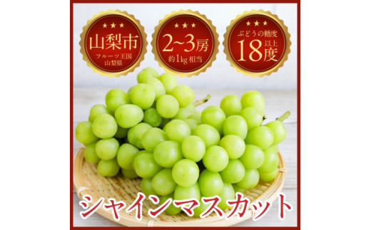 ＜2025年発送＞山梨県山梨市牧丘 人気のシャインマスカット 2～3房(約1kg)【1635880】