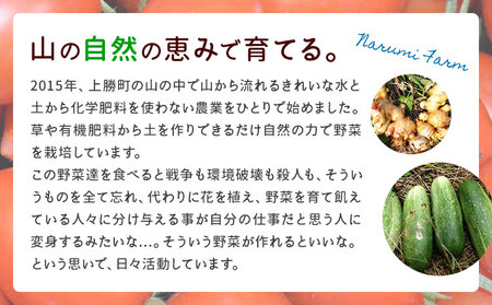 上勝レッド ピューレ プレイン 1瓶 200ml NARUMIFARM 《30日以内に出荷予定(土日祝除く)》ピューレ トマトピューレ とまと トマト 野菜 やさい オーガニック お肉 お魚 パスタ 