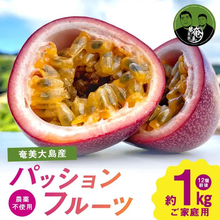 【 2026年 先行予約 】 パッションフルーツ 家庭用 約1kg A194-001-01