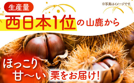 先行予約 和栗L~3L約2kg(約1kg×2袋) 熊本山鹿和栗ZEP058