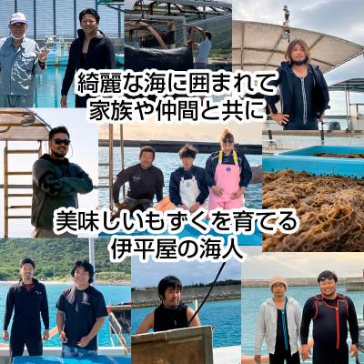 ふるさと納税 伊平屋村 【収穫時期限定!】冷凍 生もずく　8kg(500g × 16パック) |  | 01