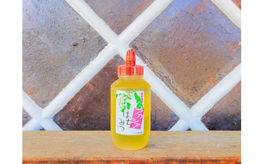 
                  さいき養蜂園のアカシアはちみつ【1kg】【ハチミツ 蜂蜜 ハニー 非加熱 あかしあ 1kg 健康食品 国産 保存 備蓄 防災 非常食 常温】
                