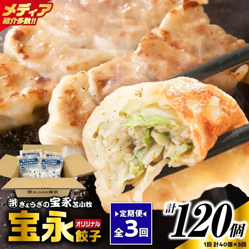 【定期便・全3回 毎月】手包み餃子 ぎょうざの宝永 宝永餃子40個セット（宝永餃子10個入×4袋） T004-T03-02 定期便 定期 惣菜 総菜 
