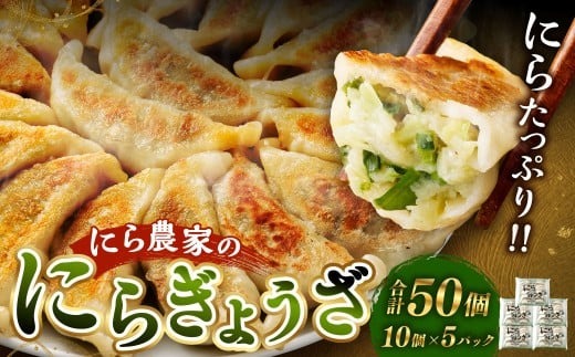 ＜にら農家の『にらぎょうざ』 50個（約240g （10個）×5パック）＞翌月末迄に順次出荷 にらぎょうざ にら餃子 にらギョウザ ニラ餃子 餃子 ぎょうざ ギョウザ 惣菜 おかず 韮 ニラ 冷凍