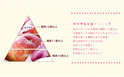 【2027年発送分・先行予約開始！】【定期便】岡山県産 白桃 最高ランク！「ロイヤル」約4kg×3回発送【桃】 2027年発送 定期便 ロイヤル 約4kg×3回